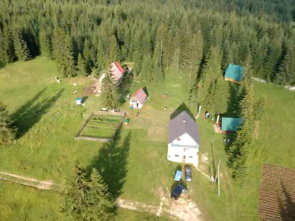 Eco Village Podgora Household Kaljevic Zabljak  Ngoại thất bức ảnh