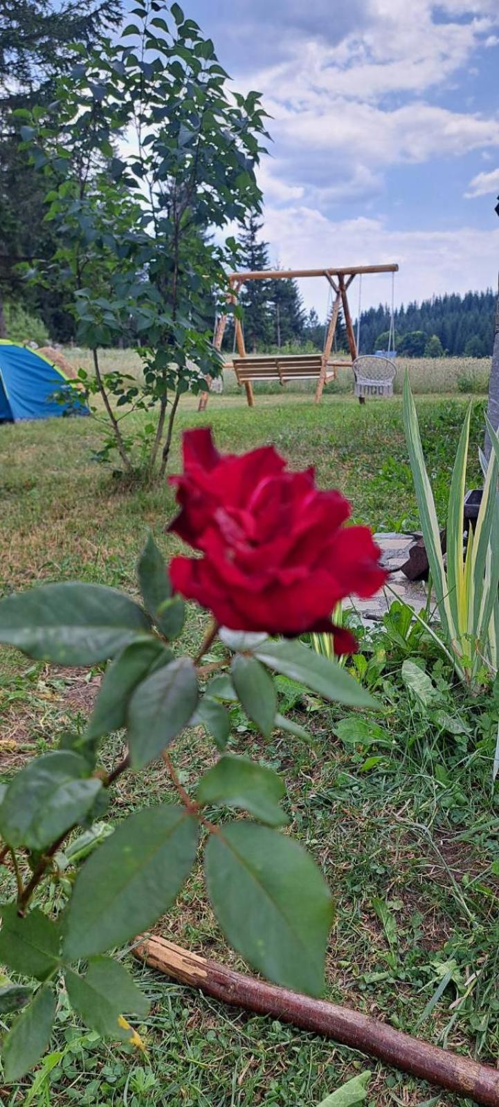 Eco Village Podgora Household Kaljevic Zabljak  Ngoại thất bức ảnh